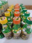 Garrafinha Dinossauros -