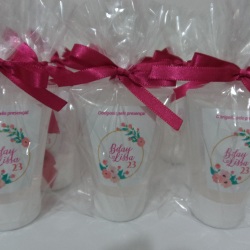 Bisnaga personalizada para lcool gel, sabonete lquido ou outro produto para lembrancinha.