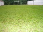 MAIS DE 450 MTS. DE AREA GRAMADA PARA EVENTOS ou pratica de esportes como futebol,voley e peteca
